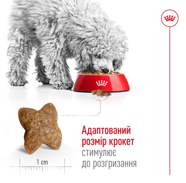 Сухий корм Royal Canin Mini Adult для собак дрібних порід, 800 г