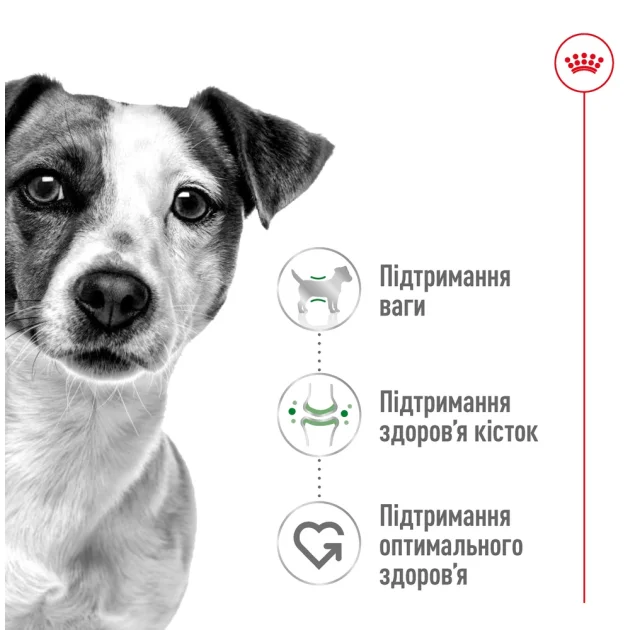 Сухий корм Royal Canin Mini Adult для собак дрібних порід, 2 кг