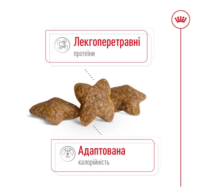 Сухий корм Royal Canin Mini Adult для собак дрібних порід, 2 кг