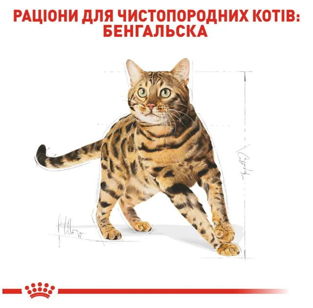 Сухий корм Royal Canin Bengal Adult для бенгальської кішки, 2 кг