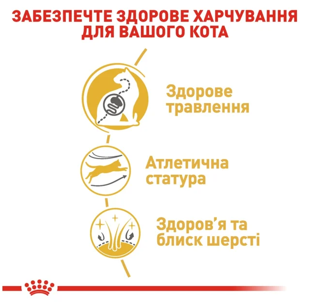 Сухий корм Royal Canin Bengal Adult для бенгальської кішки, 2 кг