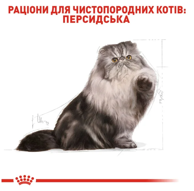 Сухий корм Royal Canin Persian Adult для перських кішок від 12 місяців, 2 кг