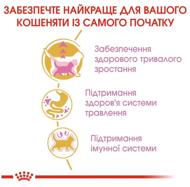 Сухий корм Royal Canin Maine Coon Kitten для кошенят мейн-кунів до 15 місяців, 400 г