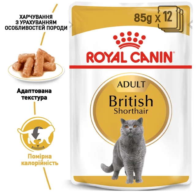 Вологий корм Royal Canin British Shorthair Adult для британських кішок, 85 г