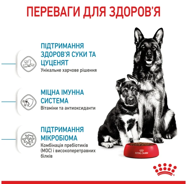 Сухой корм Royal Canin Maxi Starter для кормящих собак крупных пород, 4 кг