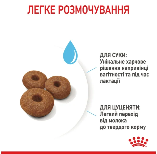 Сухой корм Royal Canin Maxi Starter для кормящих собак крупных пород, 4 кг