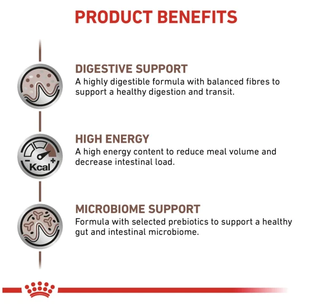 Вологий корм Royal Canin Gastro Intestinal Moderate Calorie при порушеннях травлення у кішок, 85 г
