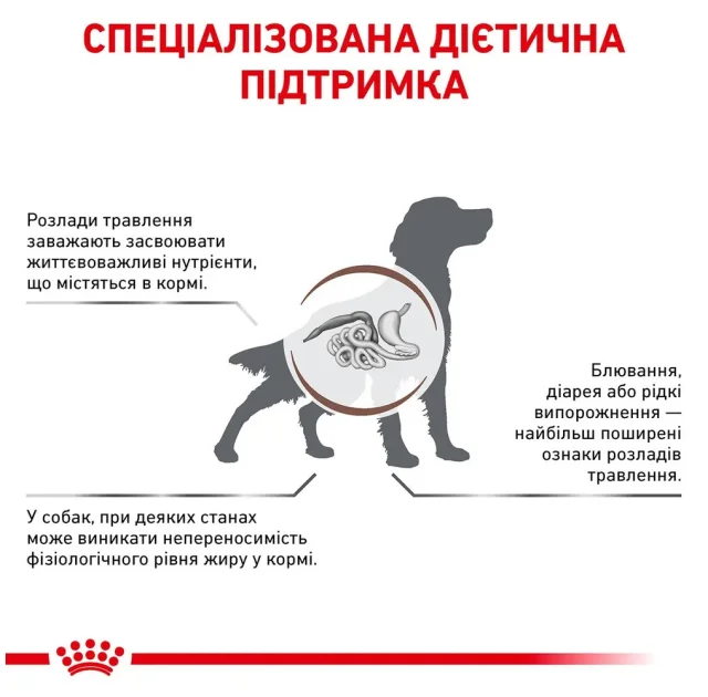 Сухий корм Royal Canin Gastro Intestinal при порушеннях травлення у собак, 15 кг