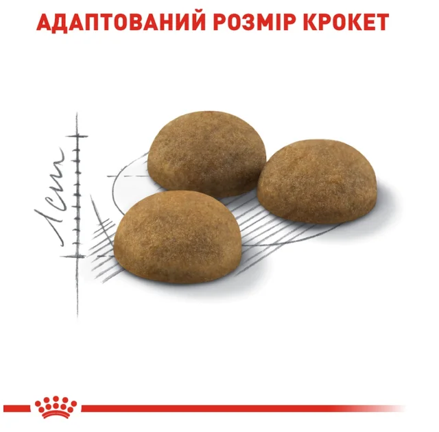 Сухий корм Royal Canin Indoor Long Hair для довгошерстих кішок постійно живуть у приміщенні, 2 кг