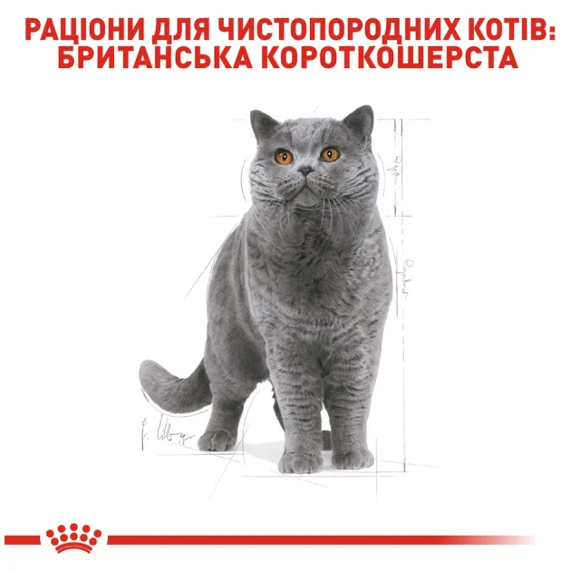 Сухий корм Royal Canin British Shorthair Adult для британських короткошерстих кішок, 2 кг