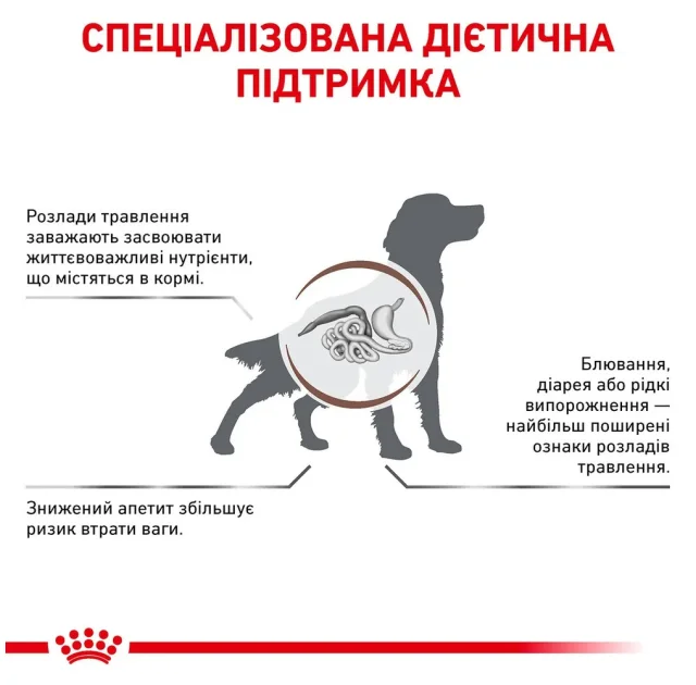 Сухий корм Royal Canin Gastro Intestinal при порушеннях травлення у собак, 2 кг