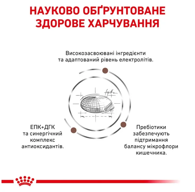 Сухий корм Royal Canin Gastro Intestinal при порушеннях травлення у собак, 2 кг