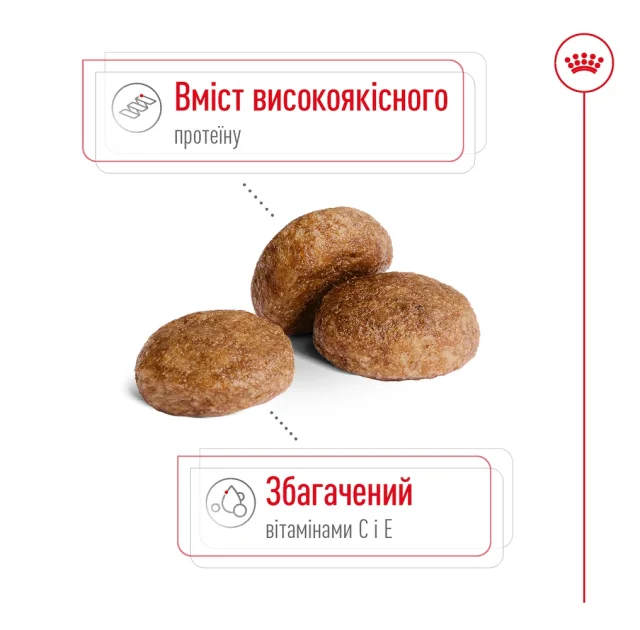 Сухий корм Royal Canin Medium Adult 7 + для собак середніх порід старше 7 років, 4 кг
