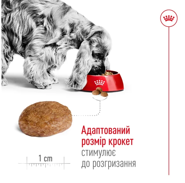 Сухий корм Royal Canin Medium Adult 7 + для собак середніх порід старше 7 років, 4 кг