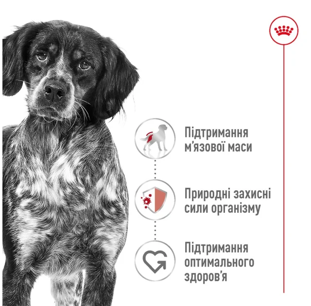 Сухий корм Royal Canin Medium Adult для собак середніх порід, 4 кг