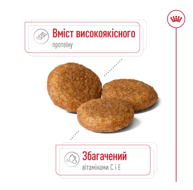 Сухий корм Royal Canin Medium Adult для собак середніх порід, 4 кг