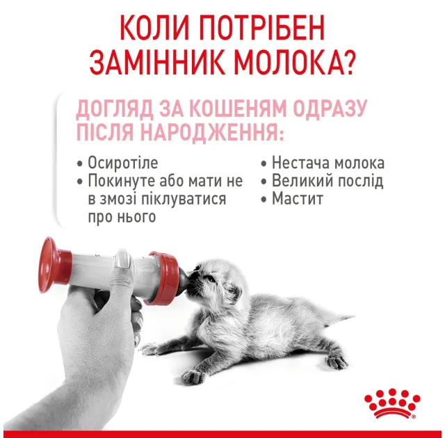 Замінник молока Royal Canin Babycat Milk для кошенят, 300 г