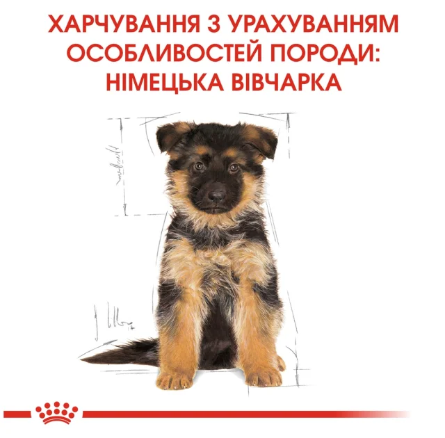 Сухий корм Royal Canin German Shepherd Puppy для цуценят німецької вівчарки до 15 місяців, 3 кг