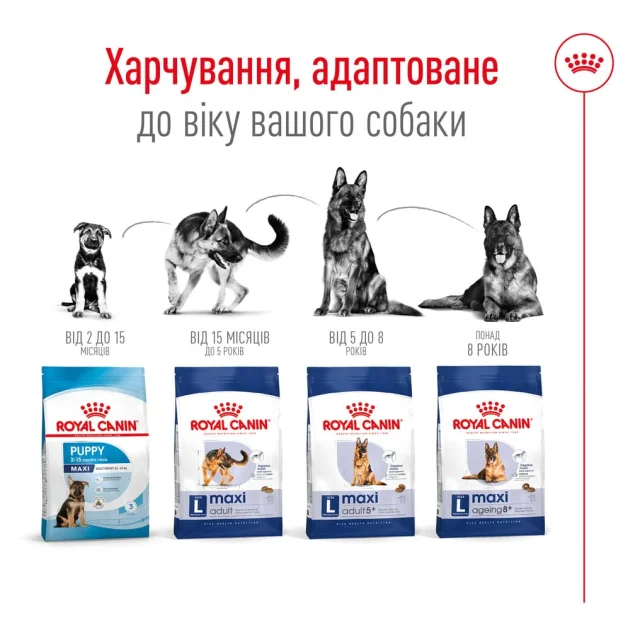 Сухий корм Royal Canin Maxi Ageing 8+ для собак великих порід старше 8 років, 15 кг