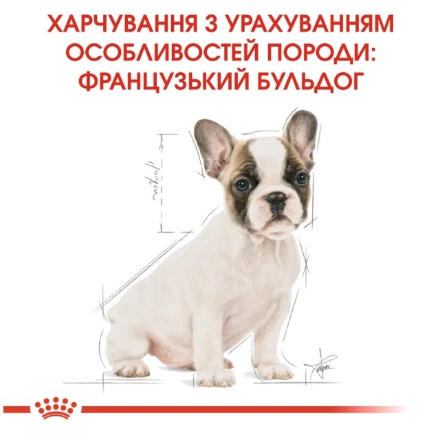 Сухой корм Royal Canin French Bulldog Puppy для щенка французского бульдога до 12 месяцев, 1 кг