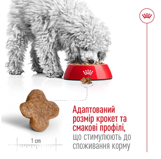 Сухий корм Royal Canin Mini Adult 8+ для собак дрібних порід старше 8 років, 800 г