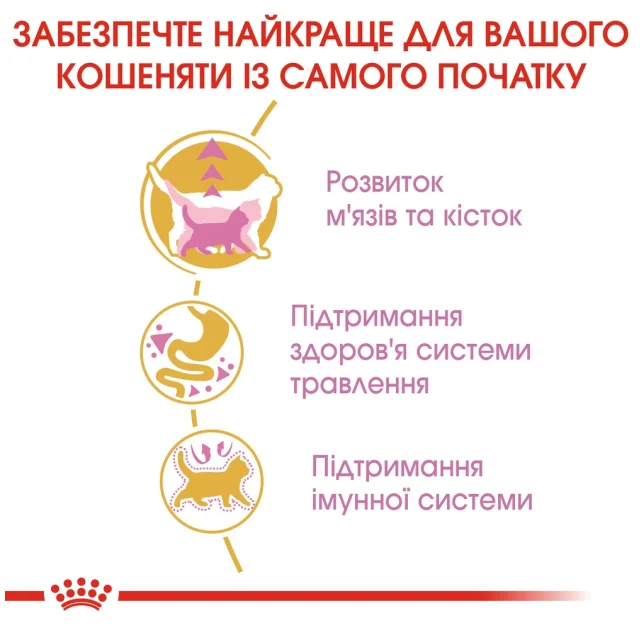 Сухий корм Royal Canin British Shorthair Kitten для британських кошенят, 2 кг