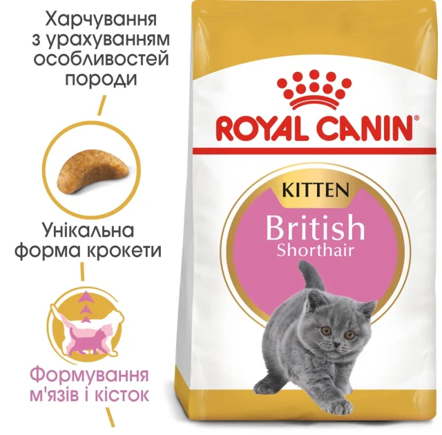 Сухий корм Royal Canin British Shorthair Kitten для британських кошенят, 10 кг