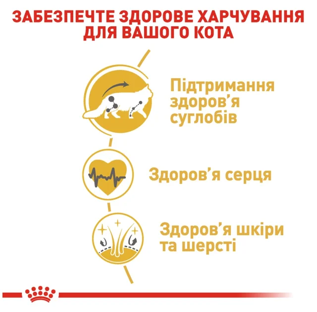 Вологий корм Royal Canin Maine Coon Adult для мейн-кунів, шматочки в соусі, 85 г