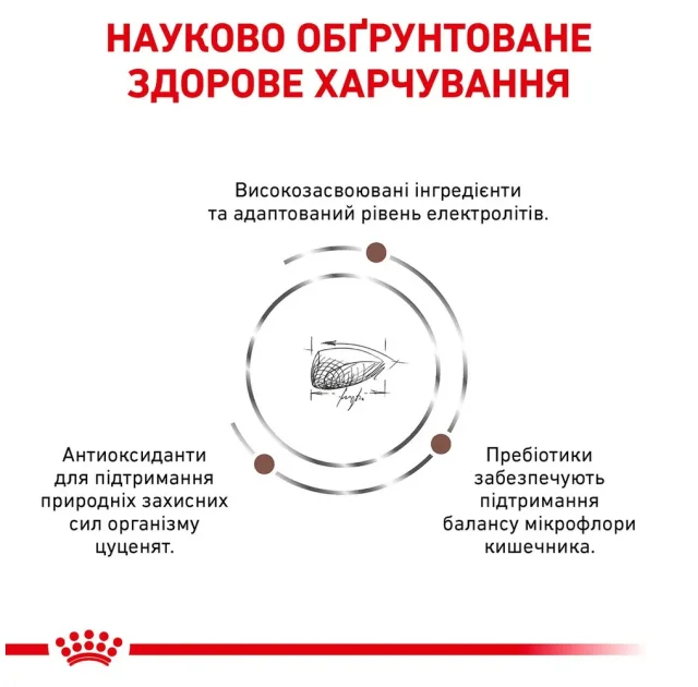 Сухой корм Royal Canin Gastro Intestinal Junior при нарушениях пищеварения у щенков, 2.5 кг