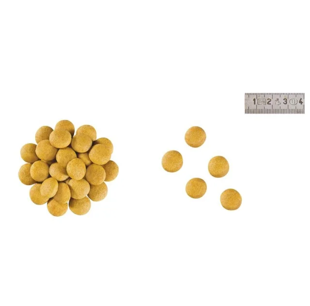 Сухий корм Royal Canin Anallergenic при харчової алергії у собак, 3 кг