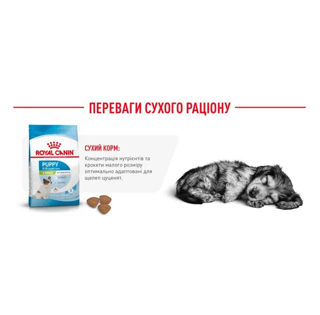 Сухий корм Royal Canin X-Small Puppy для цуценят мініатюрних порід до 10 місяців, 3 кг
