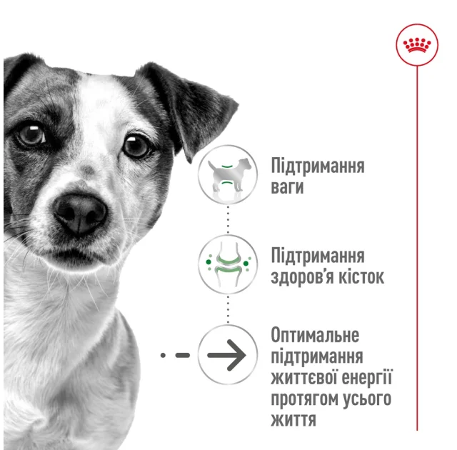 Сухий корм Royal Canin Mini Ageing 12+ для собак дрібних порід старше 12 років, 800 г