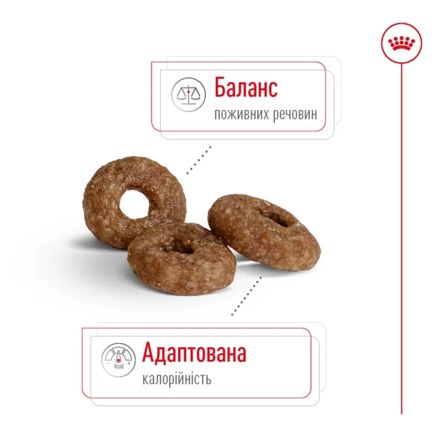 Сухий корм Royal Canin Mini Ageing 12+ для собак дрібних порід старше 12 років, 800 г