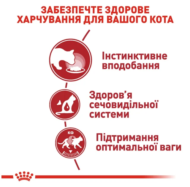 Вологий корм Royal Canin Instinctive для кішок, паштет, 85 г