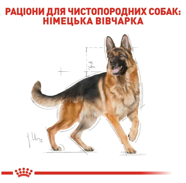 Сухой корм Royal Canin German Shepherd Adult для немецкой овчарки, 11 кг