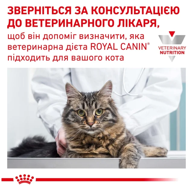 Вологий корм Royal Canin Urinary S/O при сечокам'яній хворобі у кішок, шматочки в соусі, 85 г