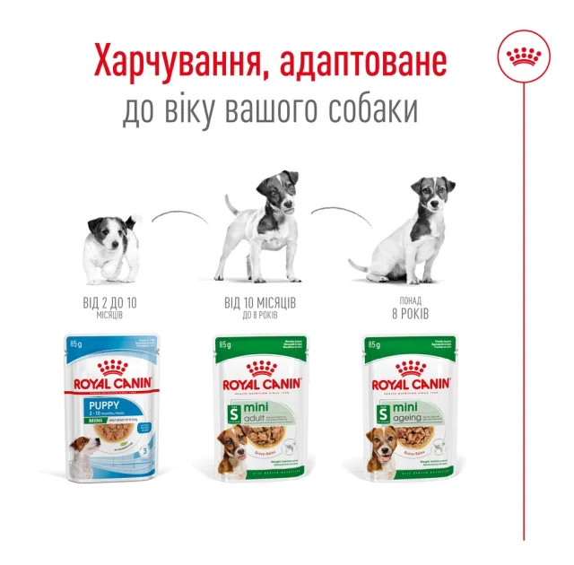 Вологий корм Royal Canin Mini Adult для дорослих собак дрібних порід, 85 г