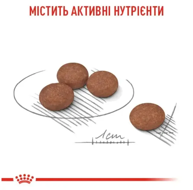 Сухой корм Royal Canin Mini Digestive Care при чувствительном пищеварении у собак мелких пород, 3 кг