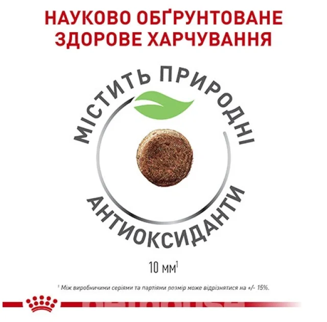 Сухий корм Royal Canin Queen для кішок в період тічки, вагітності та лактації, 4 кг