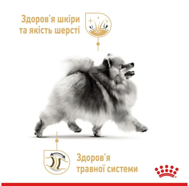 Сухий корм Royal Canin Pomeranian Adult для дорослих собак породи померанський шпіц, 500 г