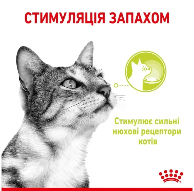 Влажный корм Royal Canin Sensory Smell Gravy для кошек привередливых к аромату, кусочки в соусе, 85 г