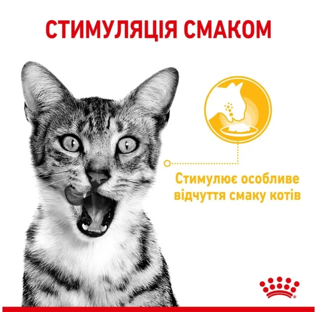 Вологий корм Royal Canin Sensory Taste Gravy для котів вибагливих до смаку, шматочки в соусі, 85 г