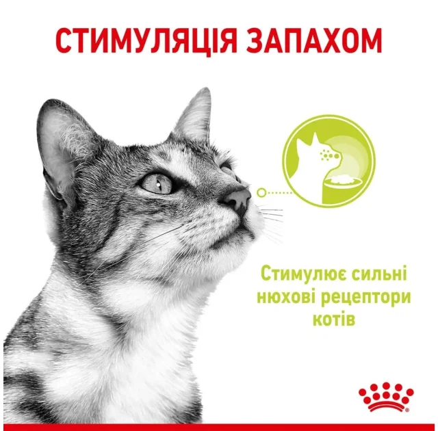 Вологий корм Royal Canin Sensory Smell Jelly для котів вибагливих до аромату, шматочки в желе, 85 г