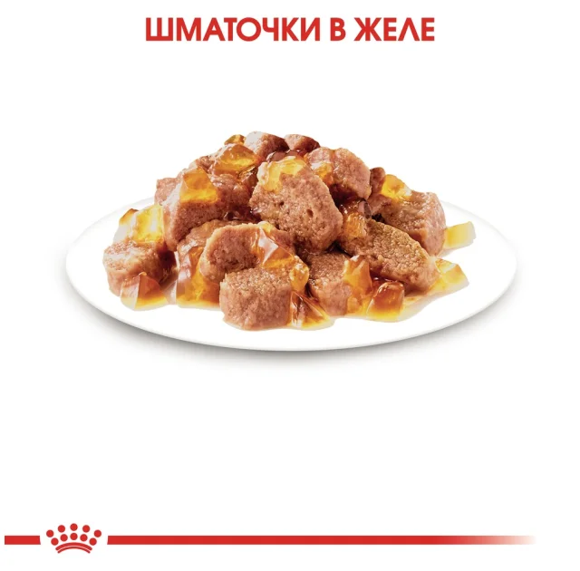 Влажный корм Royal Canin Sterilised Jelly для стерилизованных котов старше 12 месяцев, кусочки в желе, 85 г