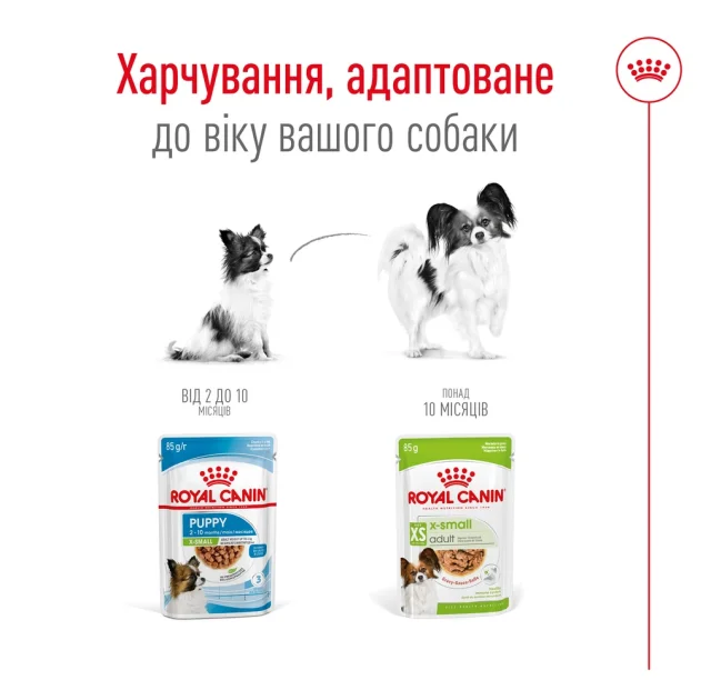 Вологий корм Royal Canin X-Small Adult для дорослих собак мініатюрних порід, шматочки в соусі, пауч, 85 г