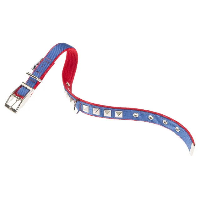Нейлоновий нашийник Ferplast Dual CF20 / 43 Colours Blue-Red для собак, 20 мм, A: 35 ÷ 43 см