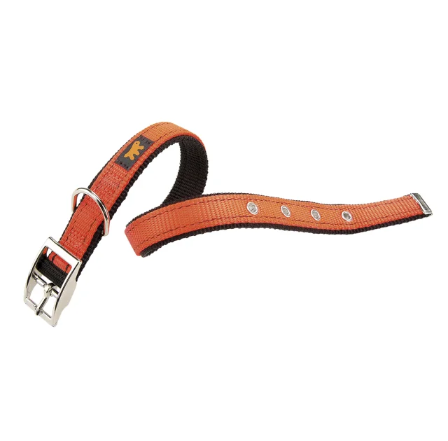Нейлоновий нашийник Ferplast Dual CF25 / 53 Colours Orange для собак, 25 мм, A: 45 ÷ 53 см