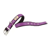 Нейлоновий нашийник Ferplast Dual CF25 / 53 Colours Purple для собак, 25 мм, A: 45 ÷ 53 см