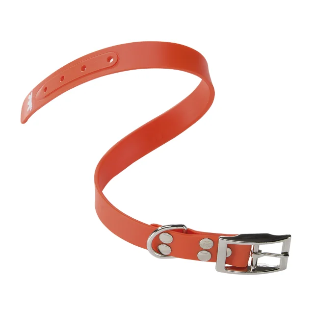 Эластичный ошейник Ferplast Ergoflex CF24/45 Orange для собак, A: 37÷45 см, B: 24 мм