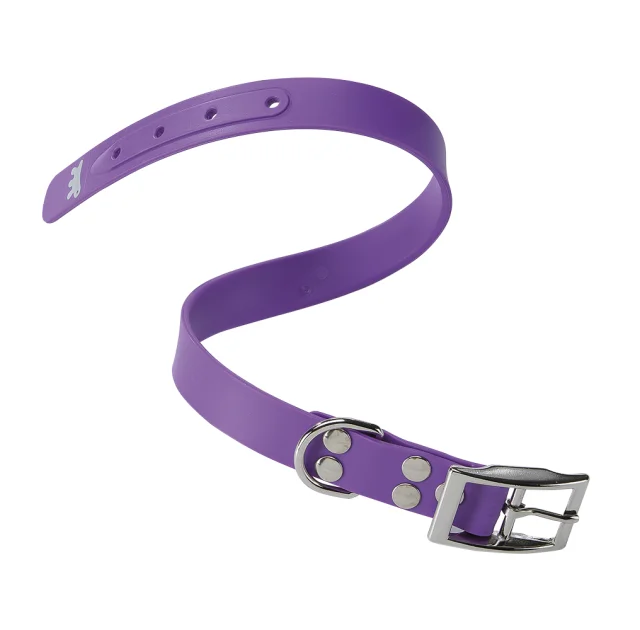Эластичный ошейник Ferplast Ergoflex CF24/45 Purple для собак, A: 37÷45 см, B: 24 мм